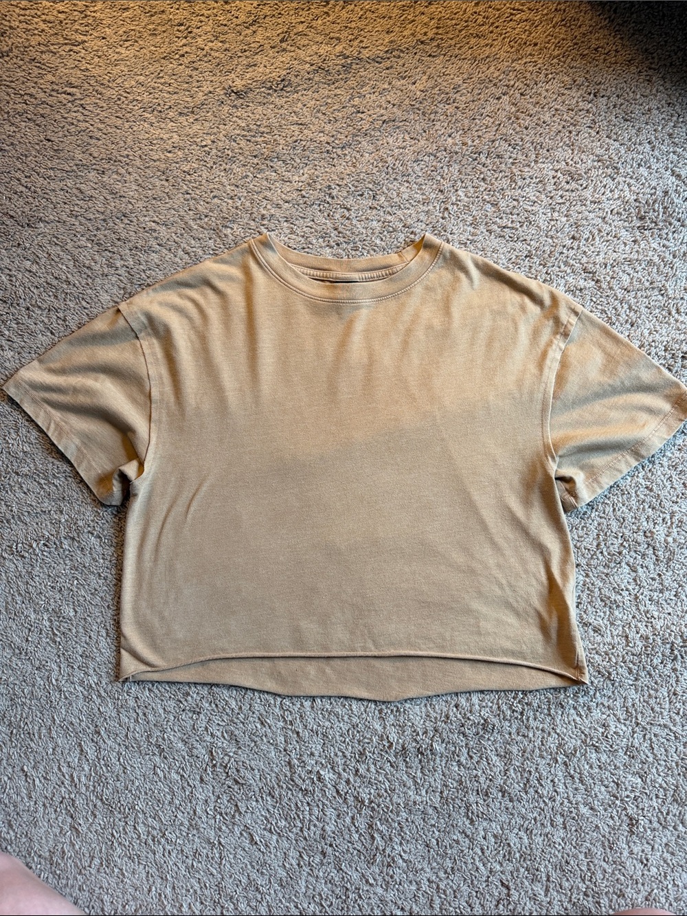 Wild fable Cropped Short-Sleeve Crewneck Top in tan